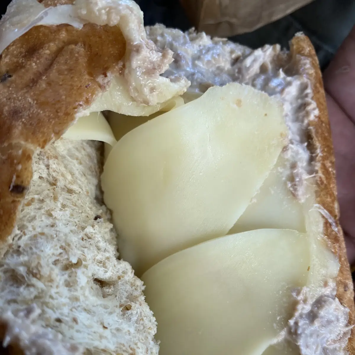 Tuna Melt