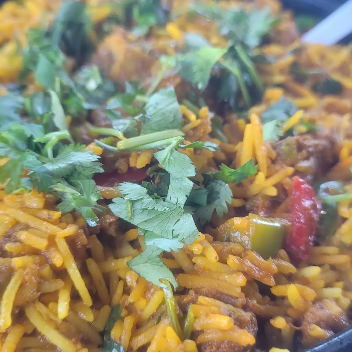 Biryani Rice Goat Biryani