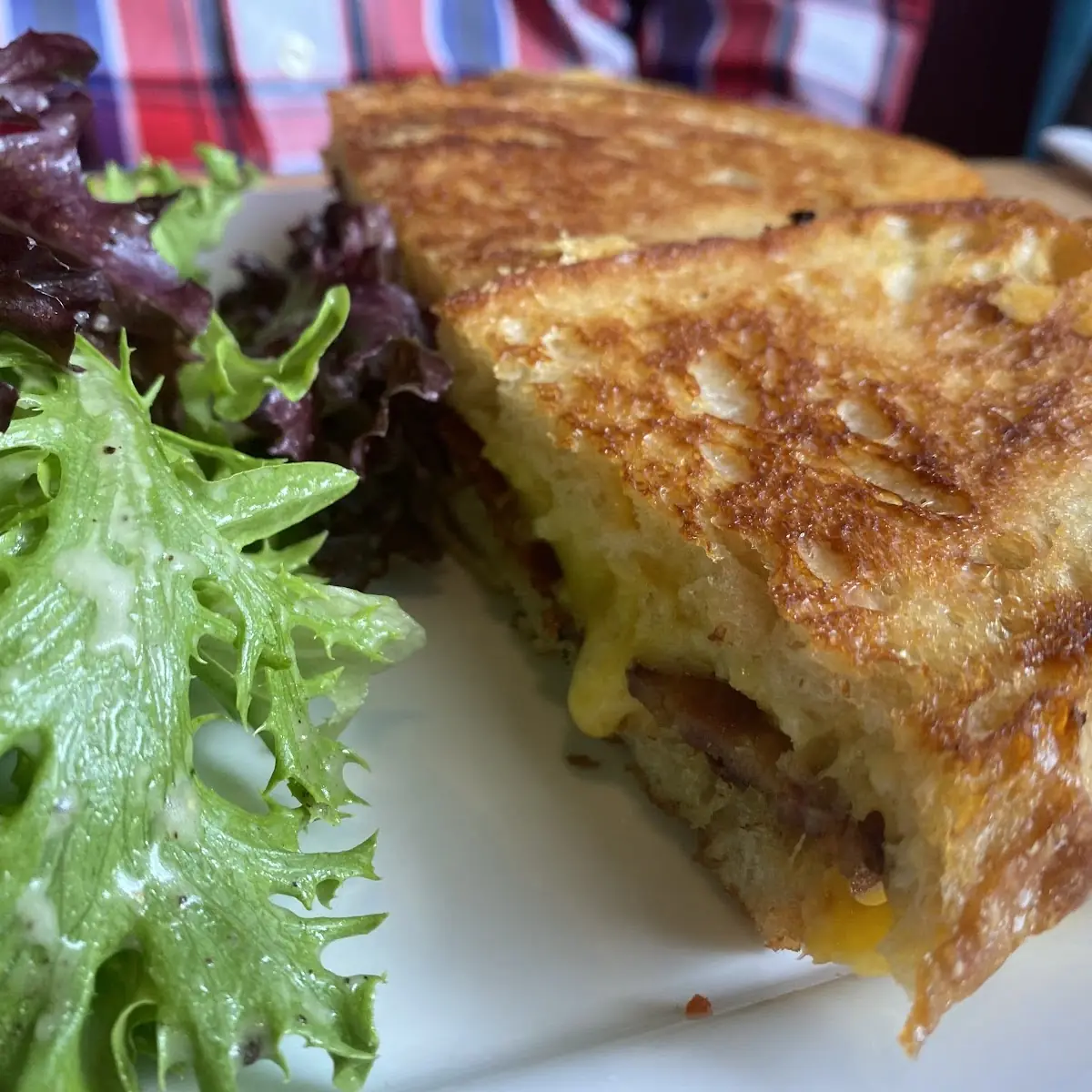Adult Grilled Cheese