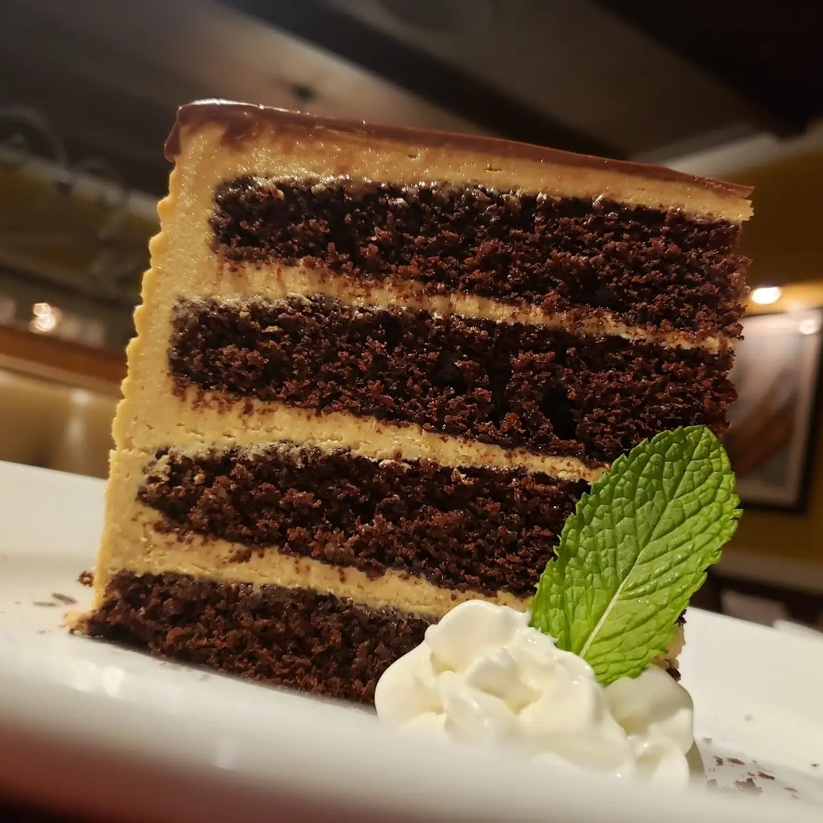 Chocolate Peanut Butter Cake