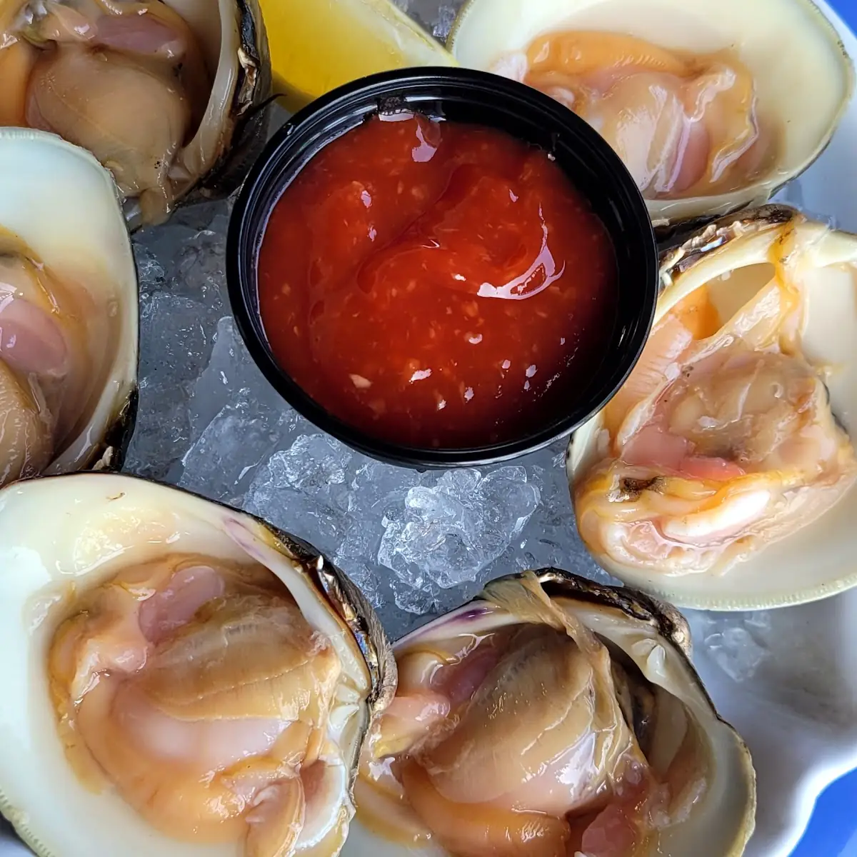 Clams on the Half Shell