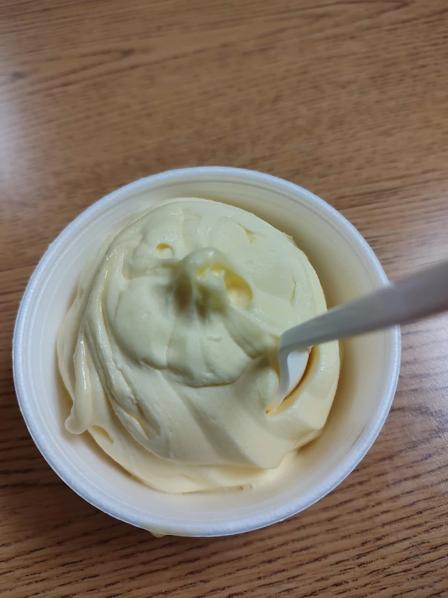 Dairy Free Vanilla Ice Cream