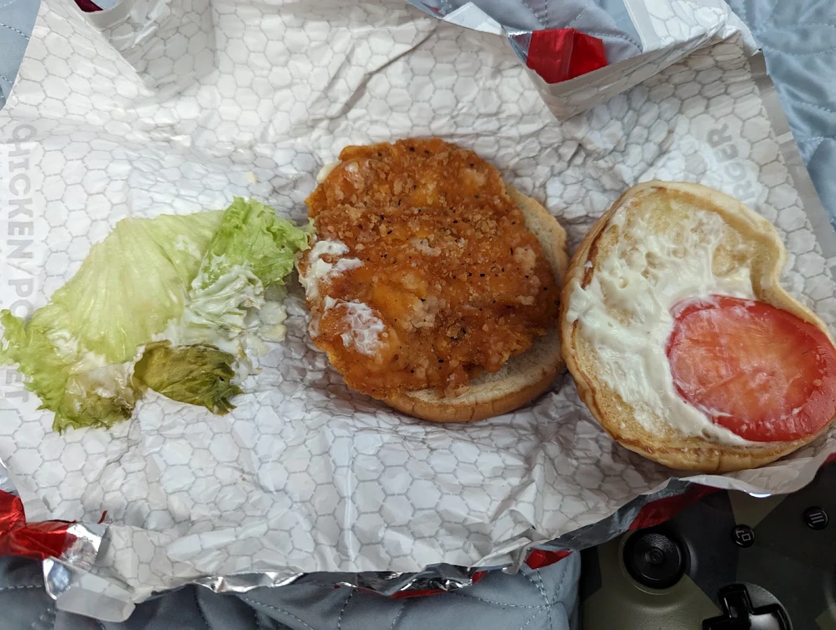 Spicy Chicken Sandwich with Rotten Lettuce and a Mealy Sad Tomato