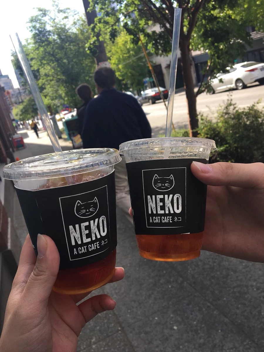Cold Brew Coffee