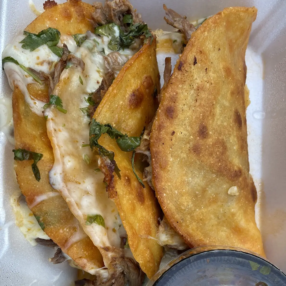 Birria Tacos