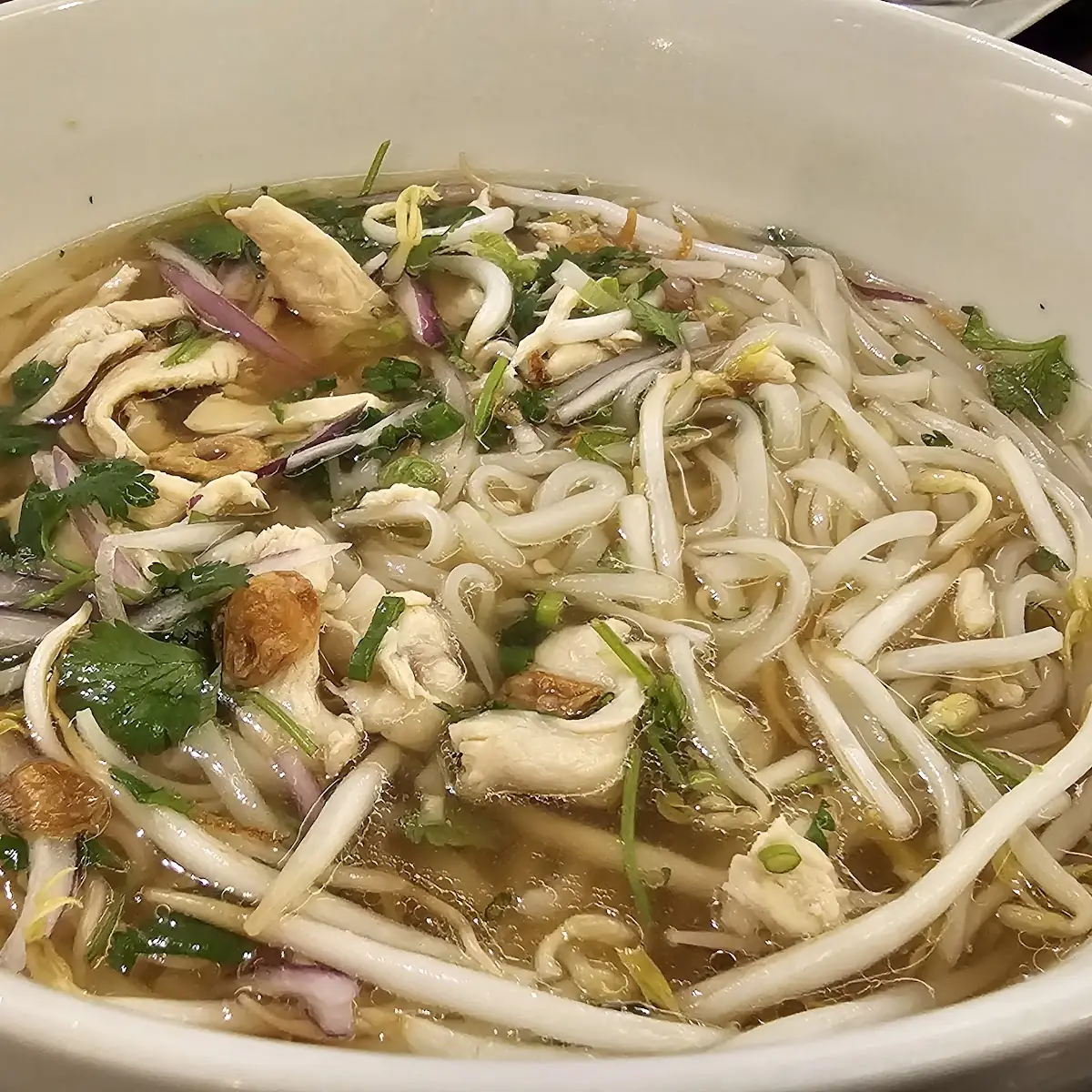 Chicken Noodle Soup