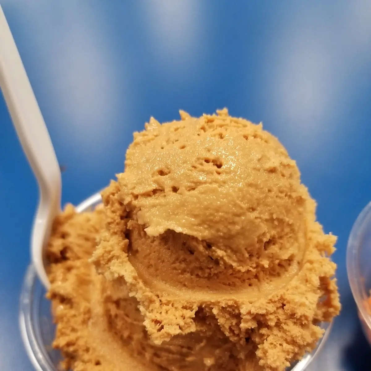 Thai Tea Ice Cream