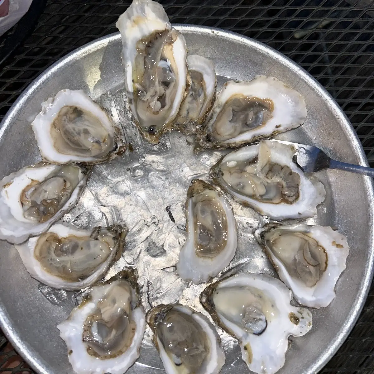 Oysters on the Half Shell