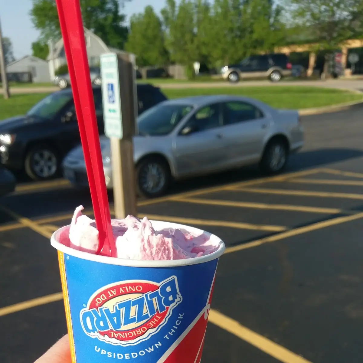 lg Cotton Candy Blizzard