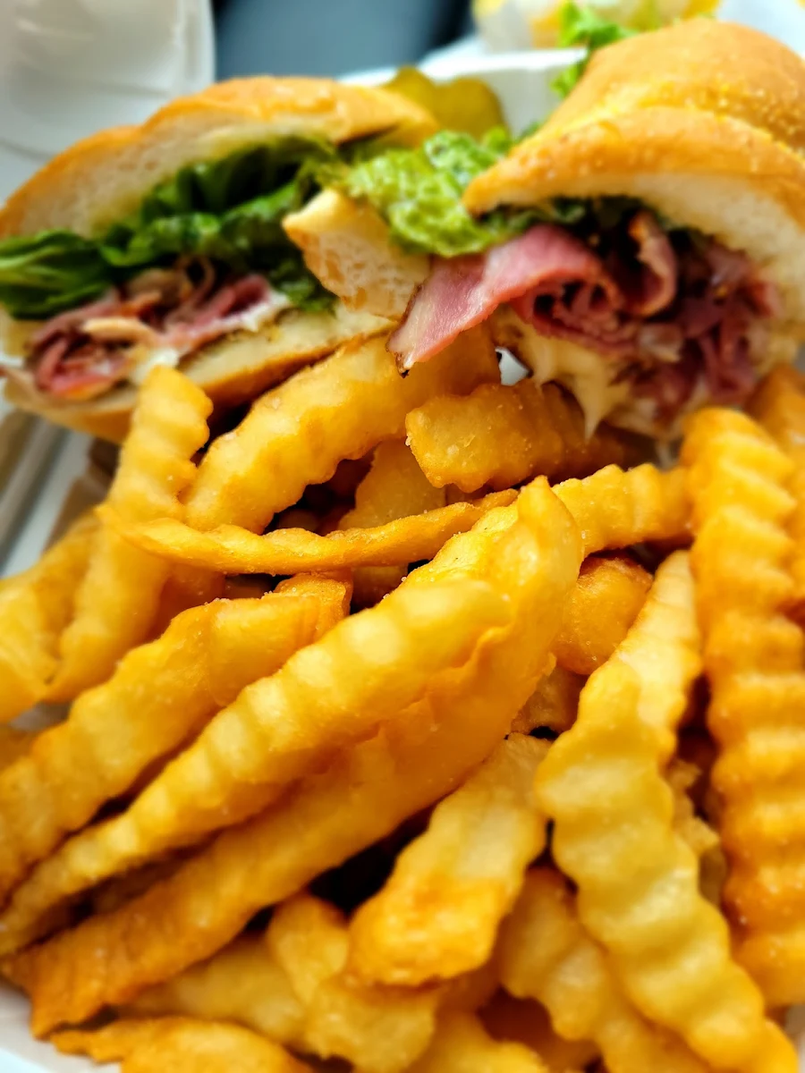 Pastrami Fan with Fries