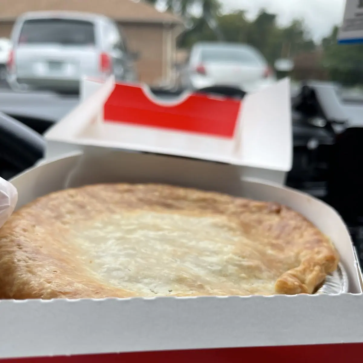 Chicken Pot Pie