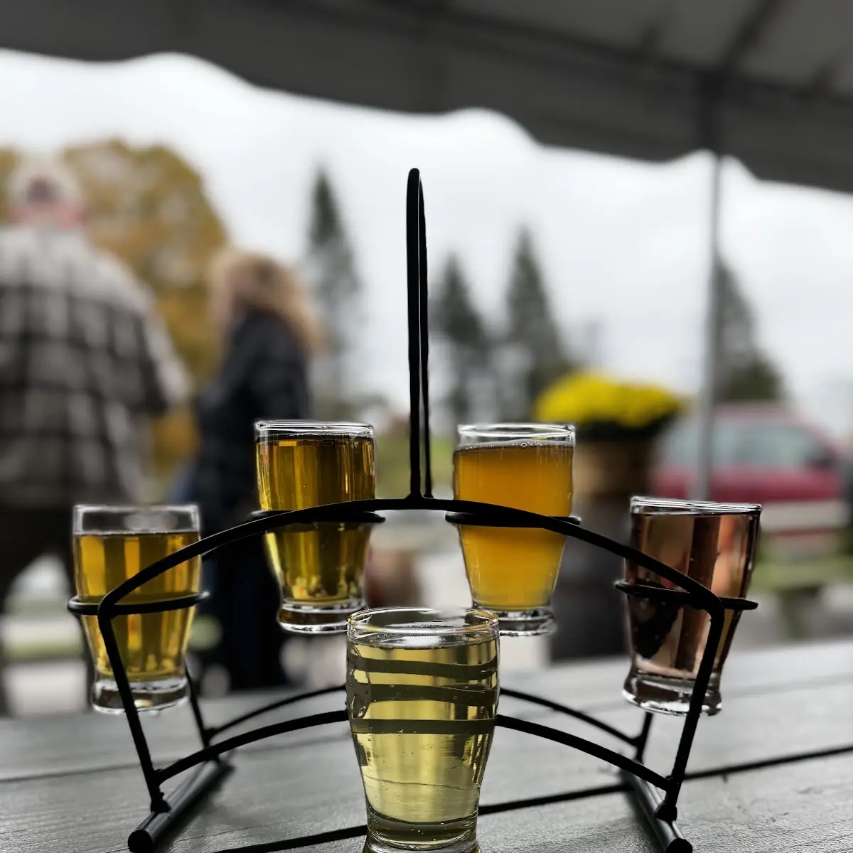 Cider Flight