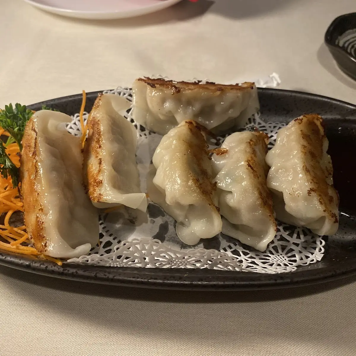 Pan Fried Pork Dumplings