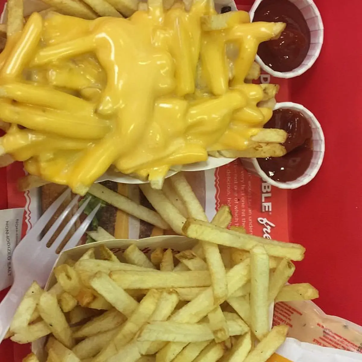 Cheese Fries and Regular Fries