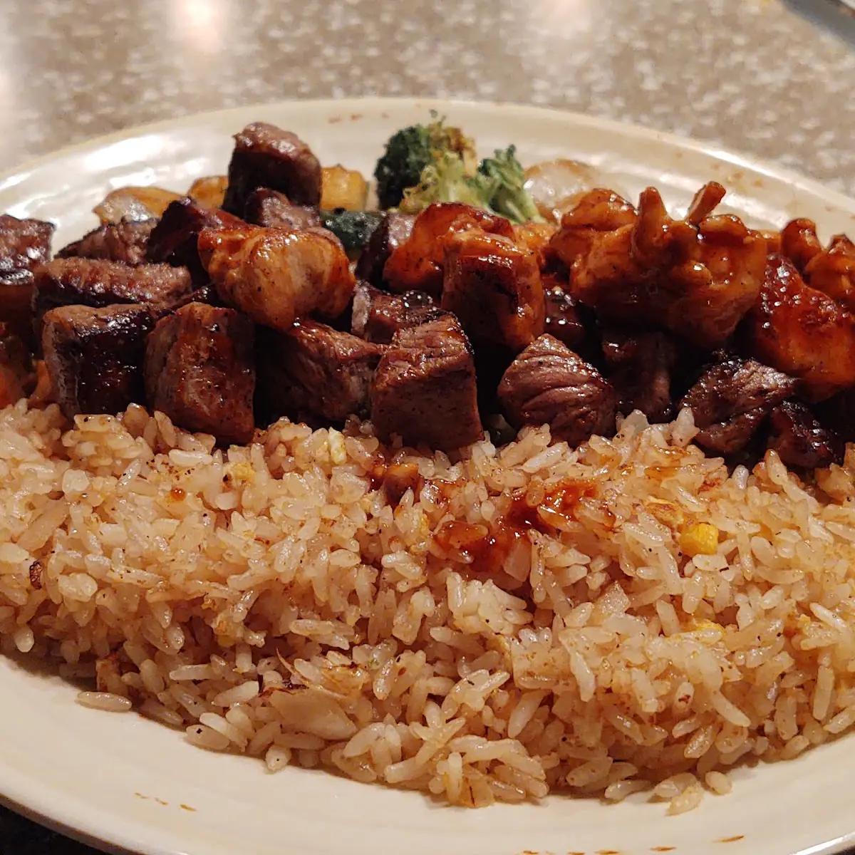 Chicken Teriyaki and Steak Dinner