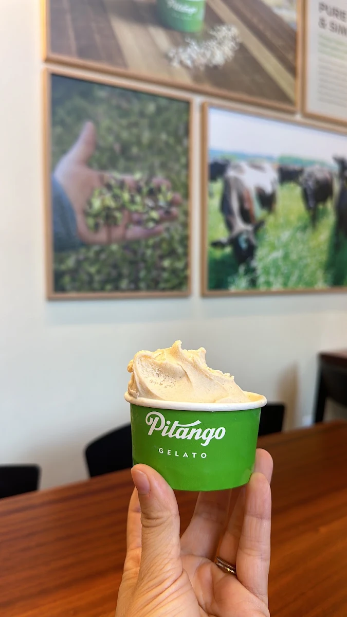 Pitango Gelato T-Shirt