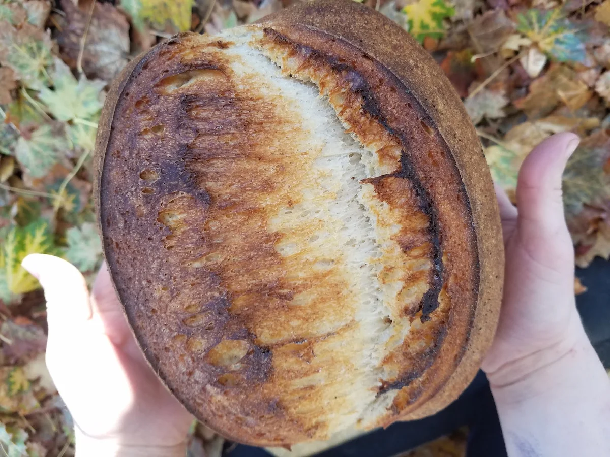 Rustic Sourdough