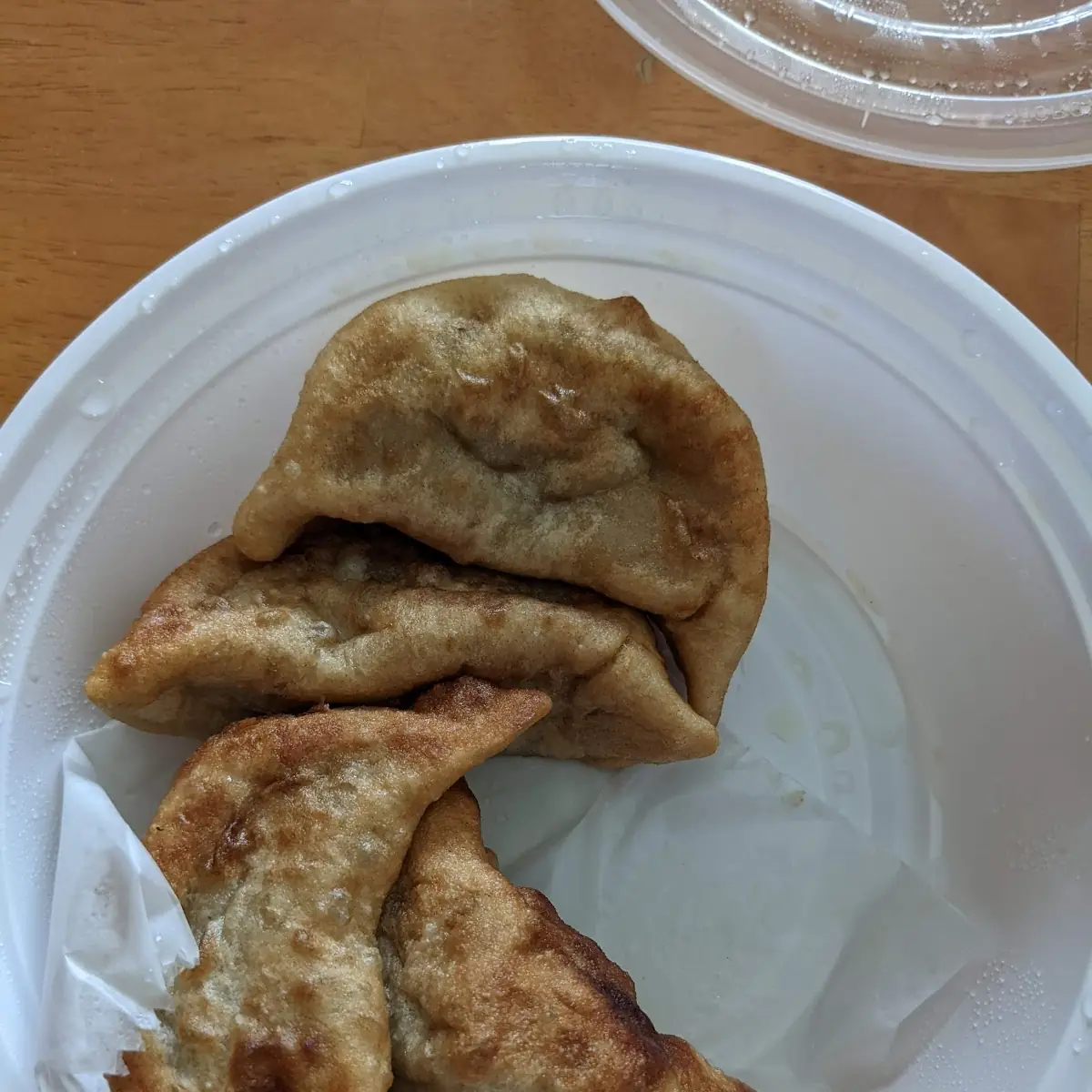 Pork Fried Dumplings