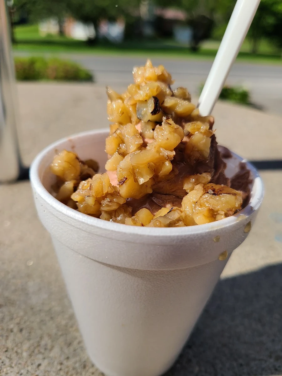 Chocolate Ice Cream with Wet Walnuts