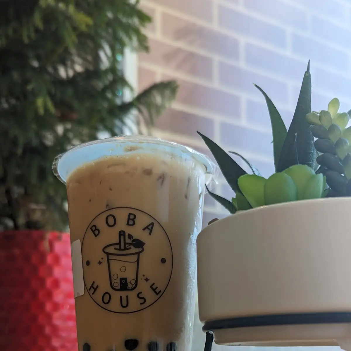 Iced Vietnamese Coffee with Boba