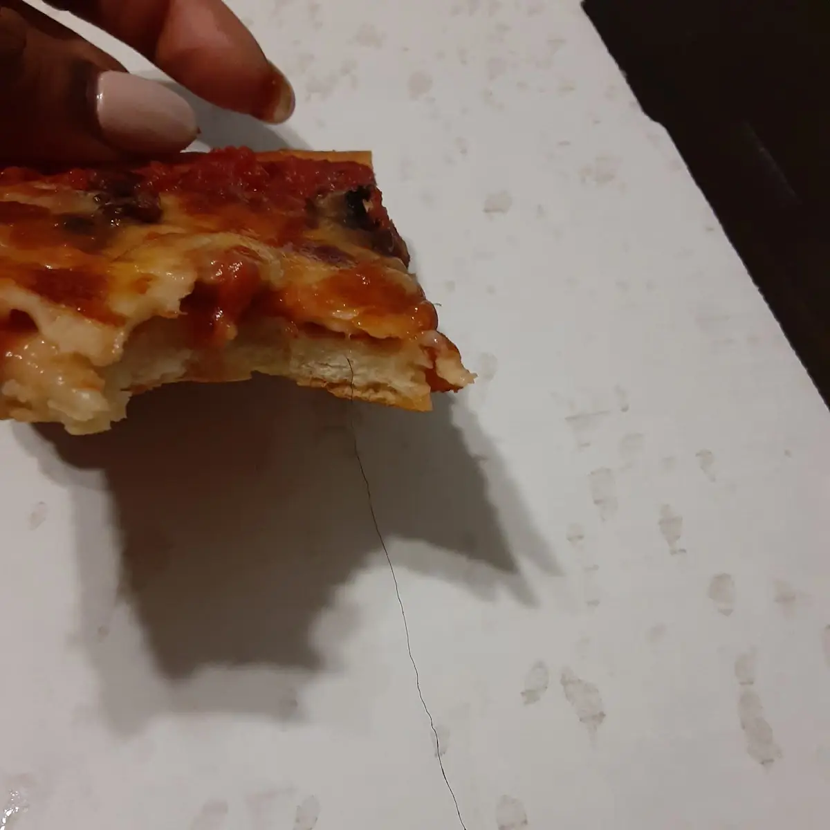 Mushroom Pizza