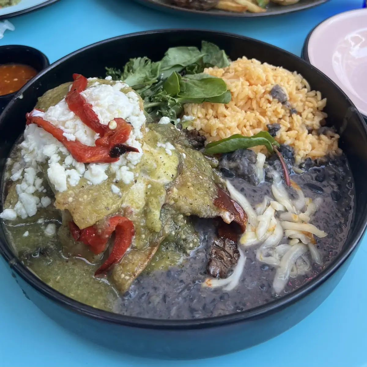 Carne Asada Enchiladas