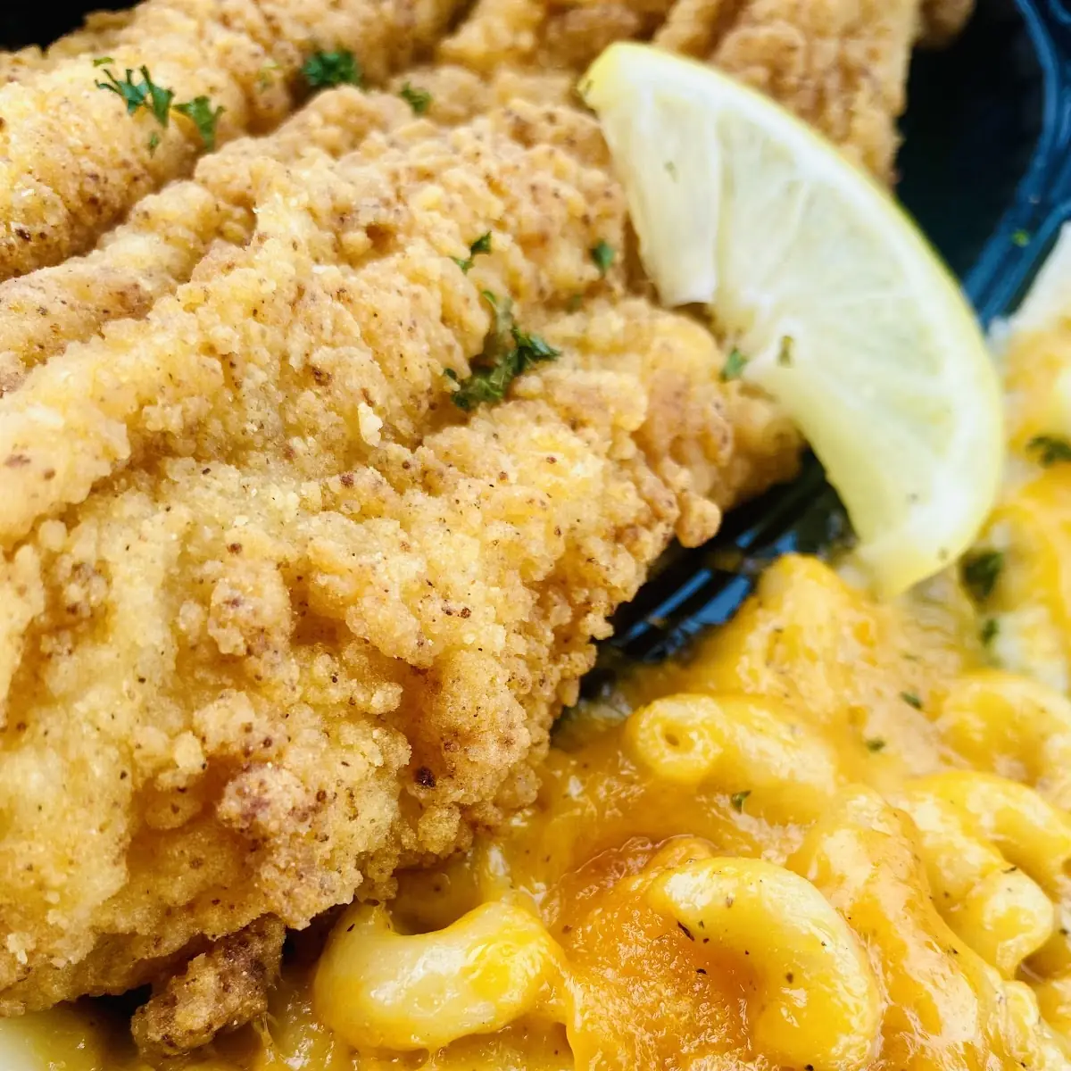 Catfish Filet 1