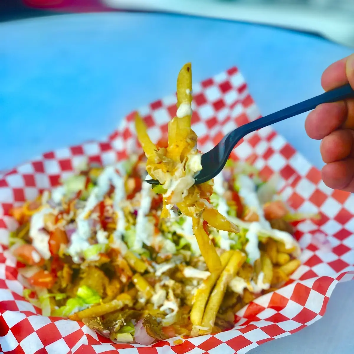 Loaded Fries