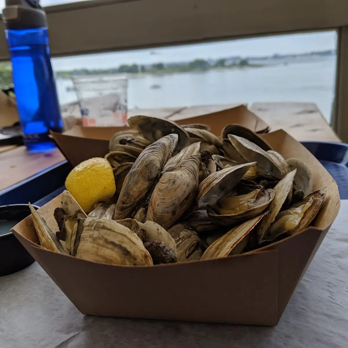 Steamer Clams