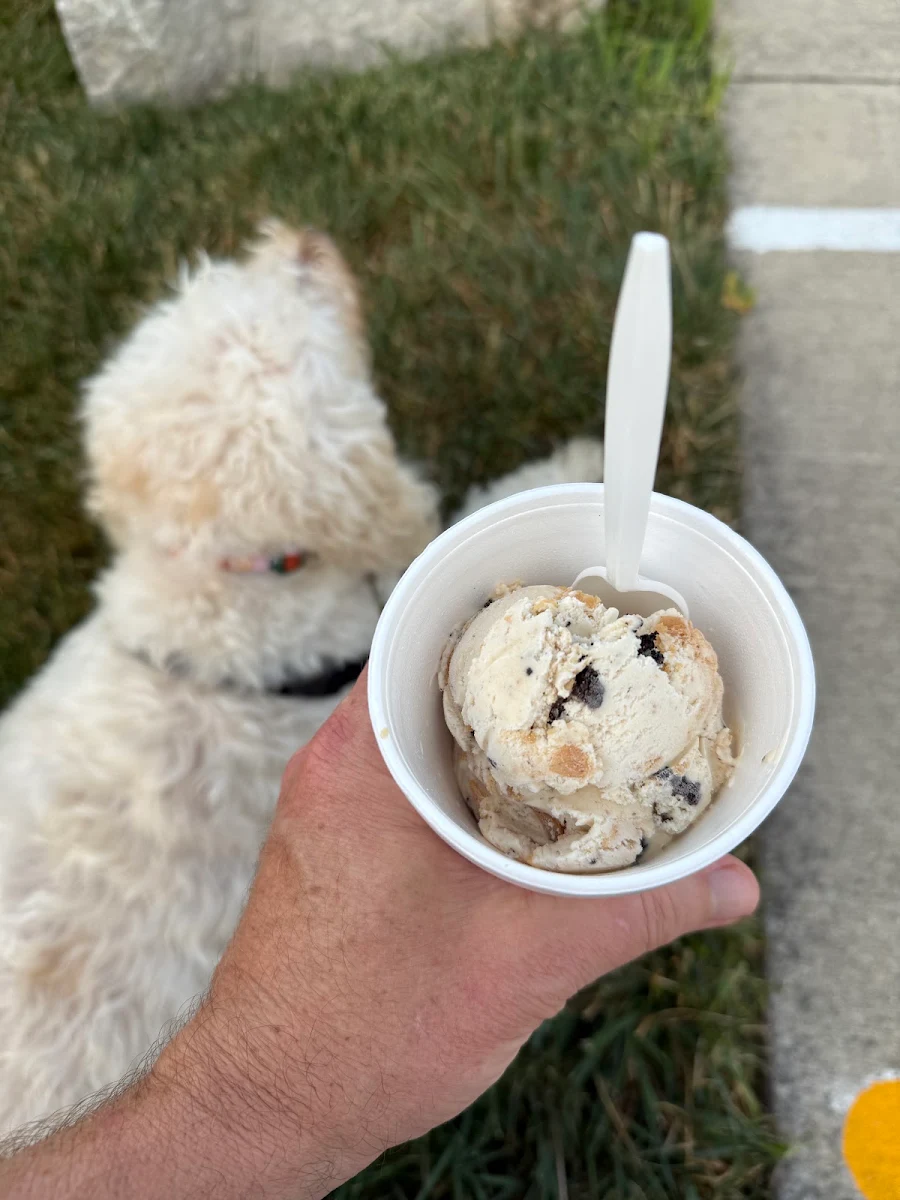 Peanut Butter Pie Ice Cream