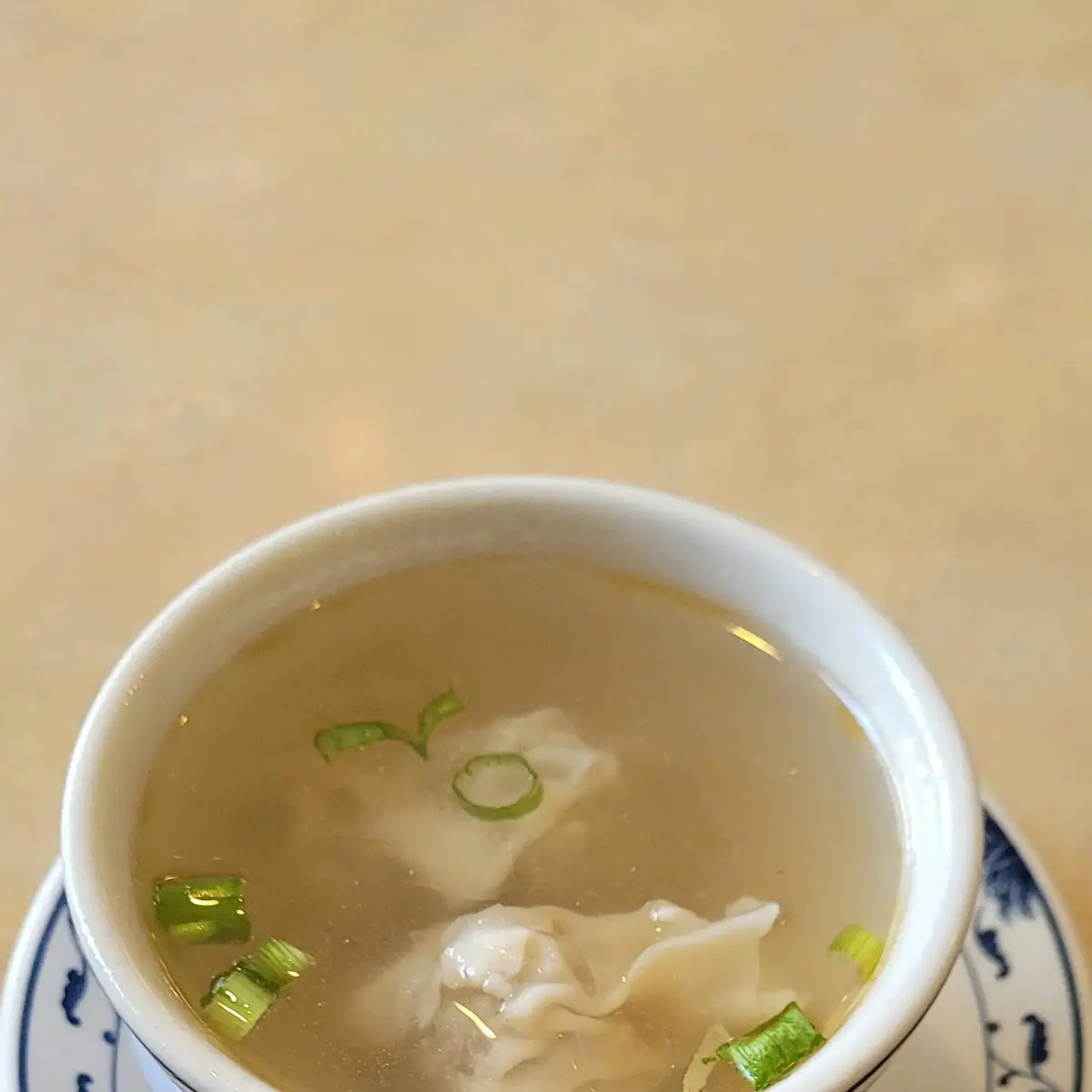 Wonton Soup