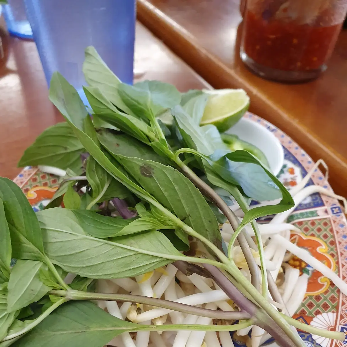 Pho Soup