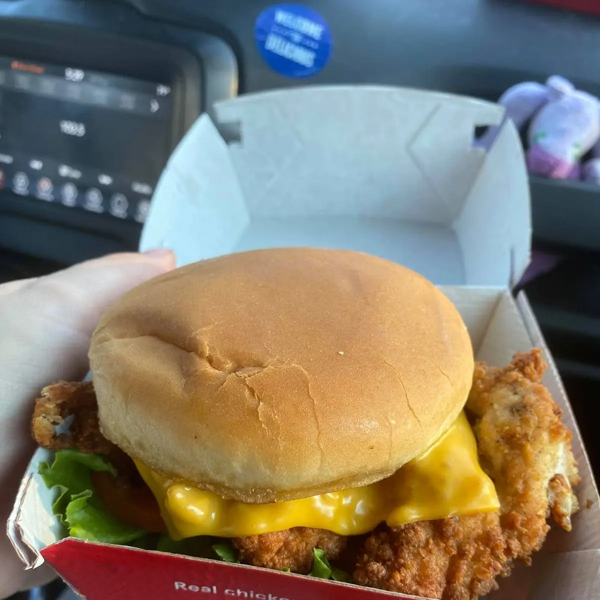 Delux Chicken Sandwich Combo