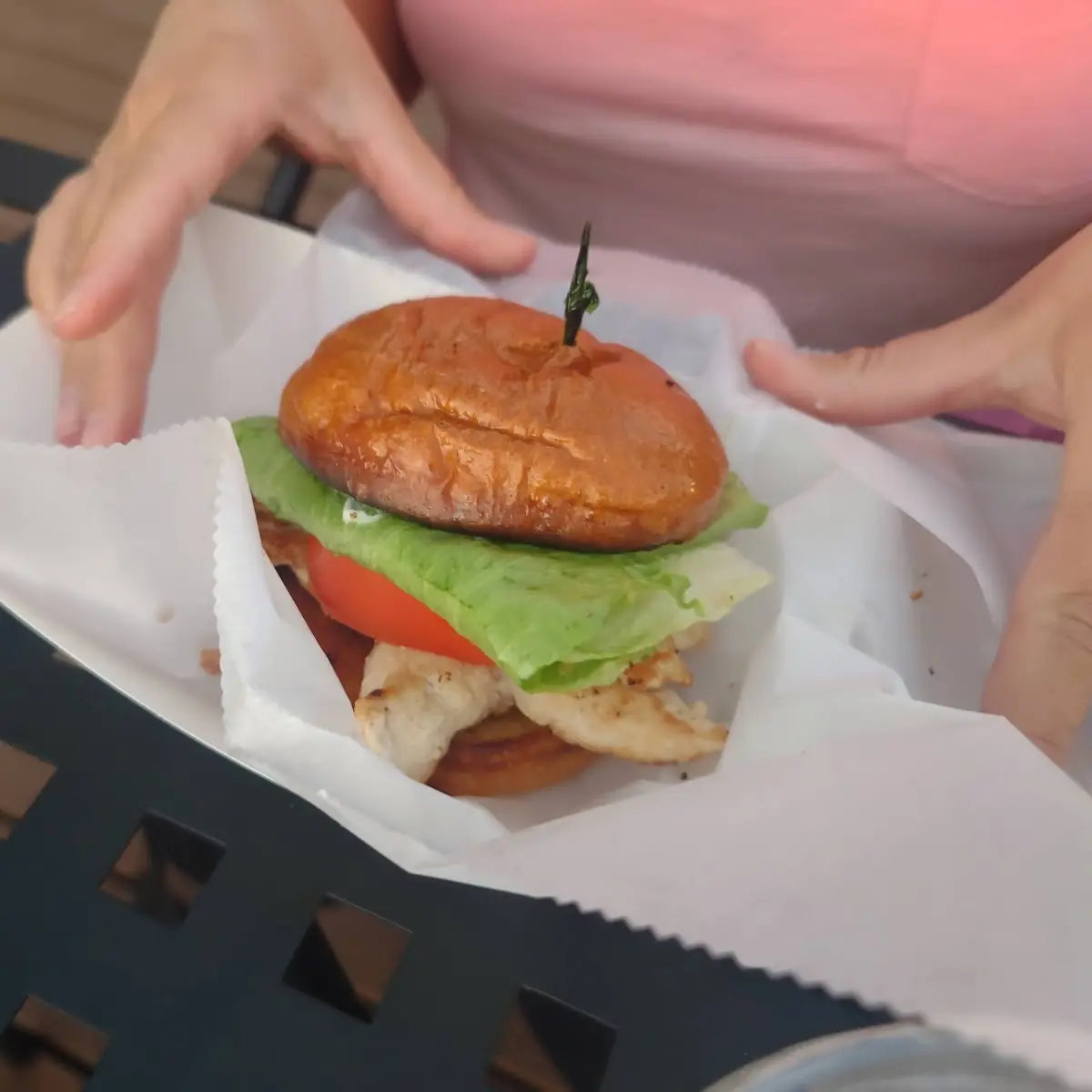 Chicken Sandwich and Fries