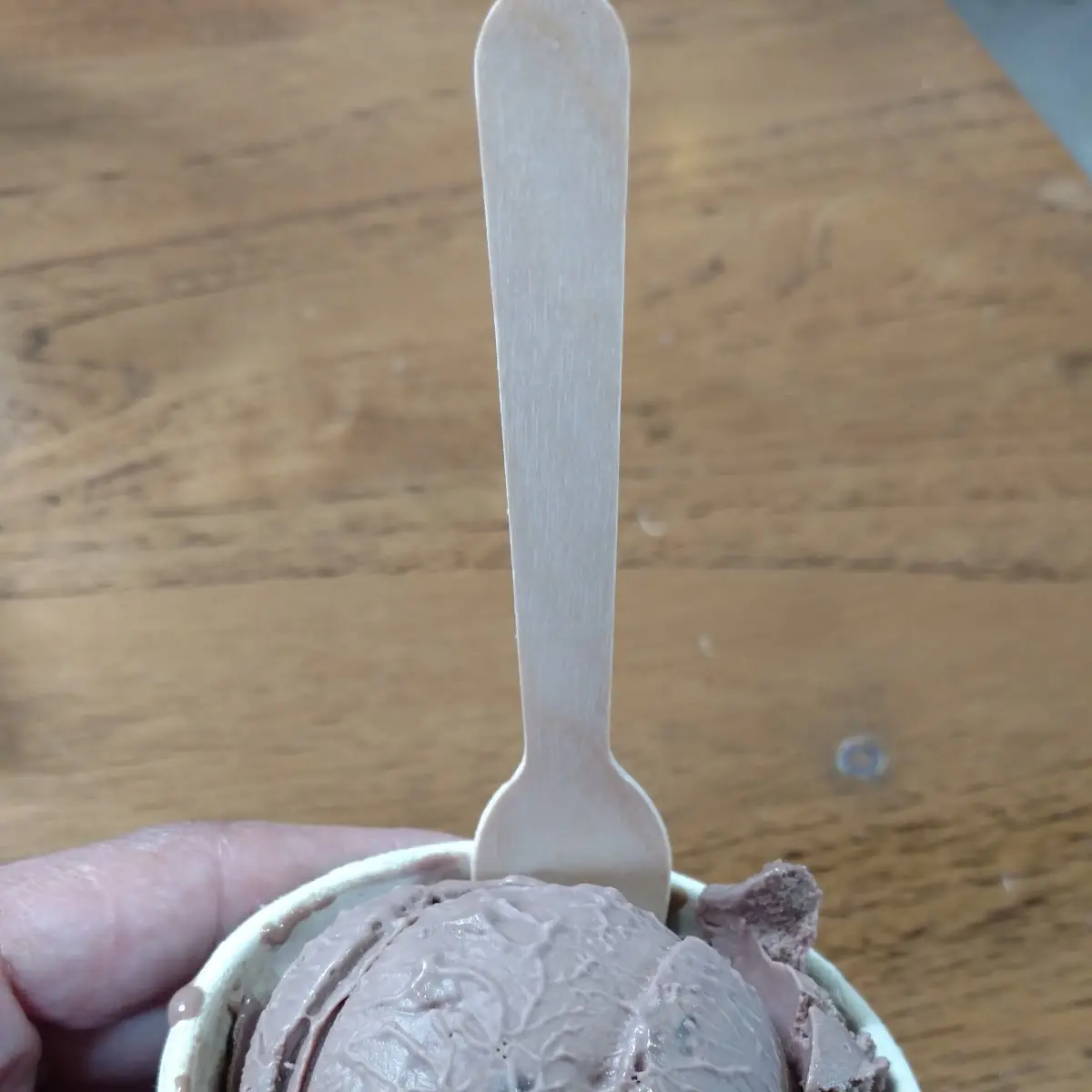 Chocolate Chip Orange Chocolate Ice Cream