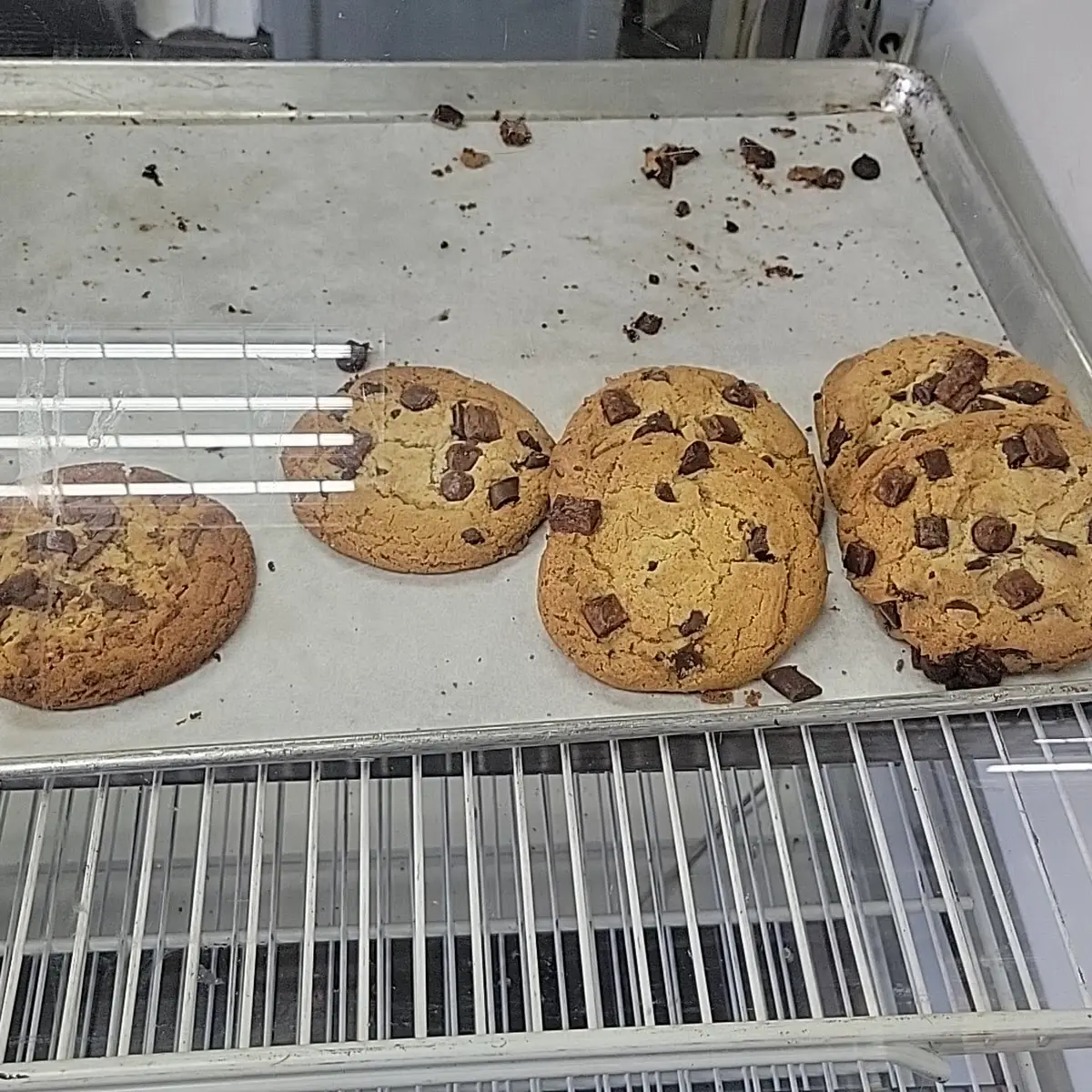 Chocolate Chip Cookie