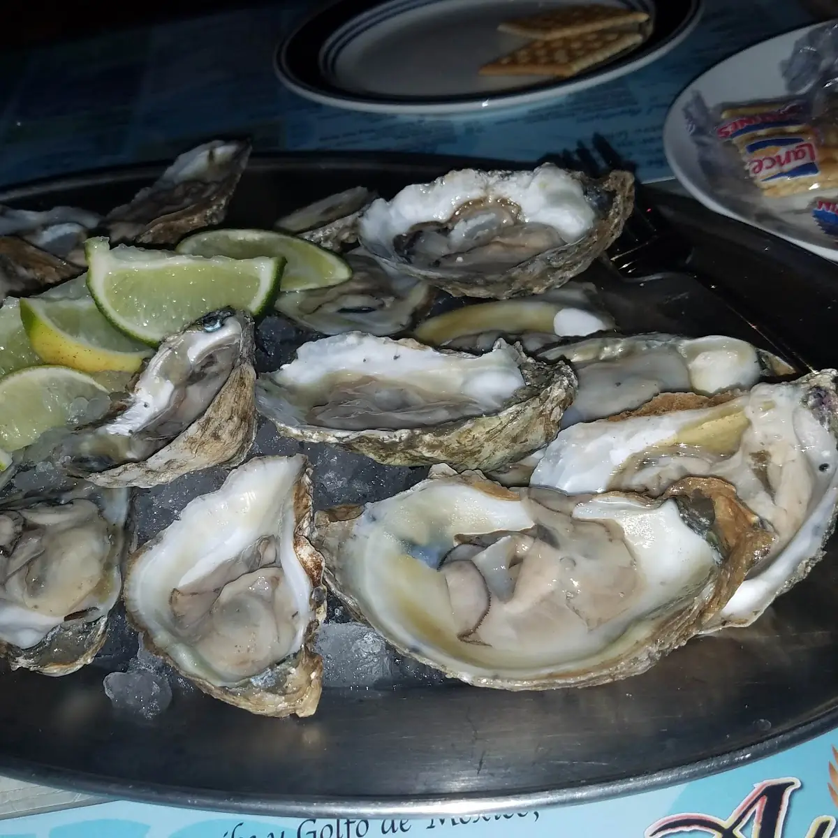 Oysters on the Half Shell