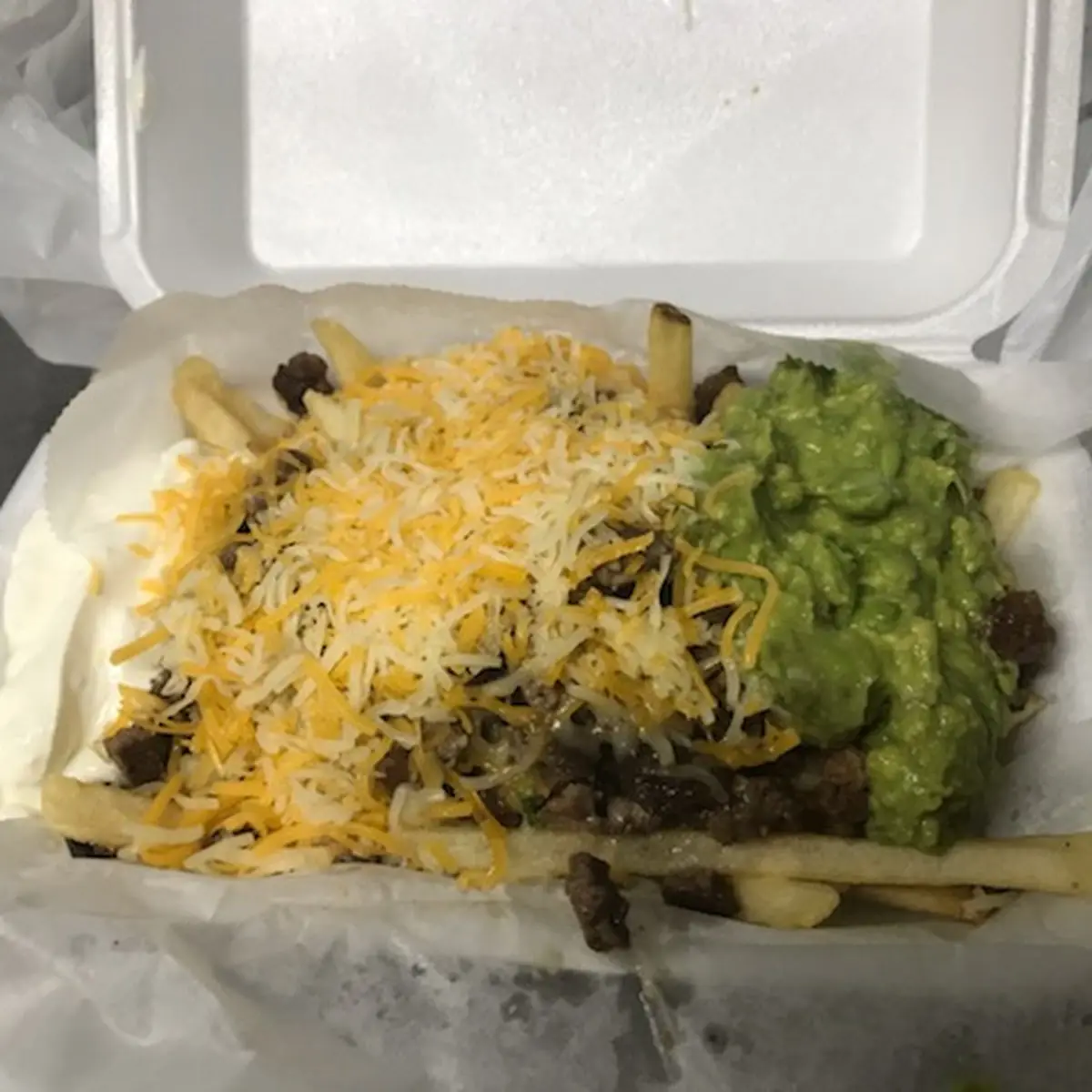 Carne Asada Fries
