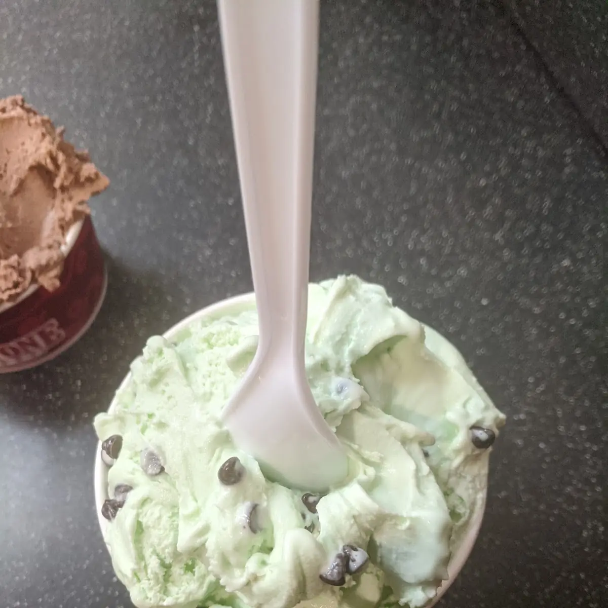 Mint Chocolate Chip Ice-Cream