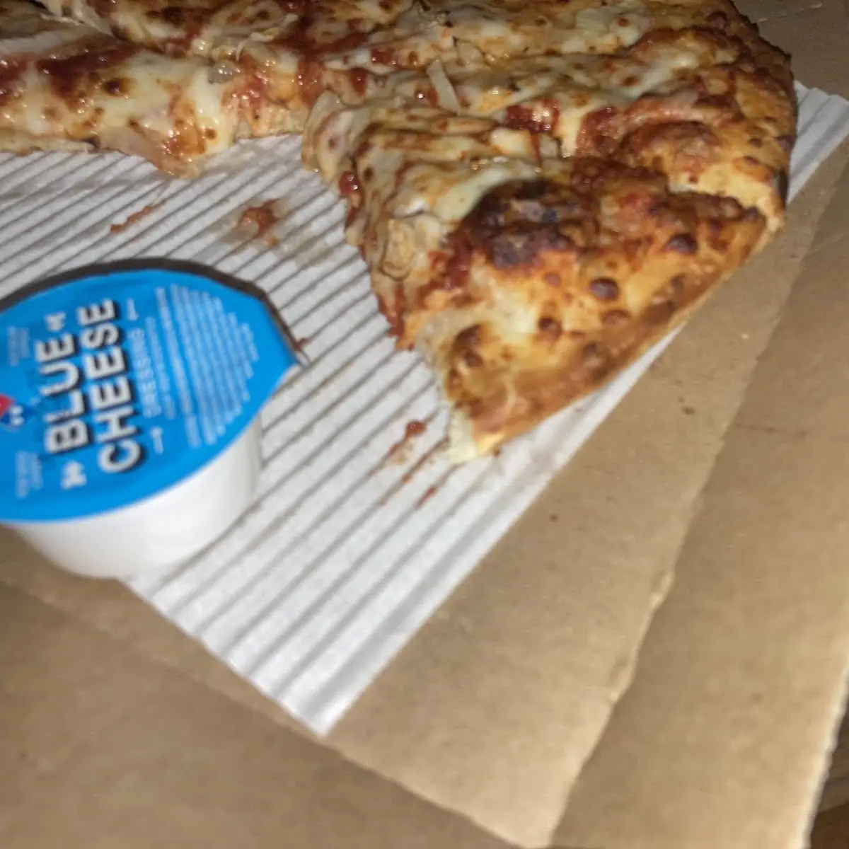 Cheese Pizza with Onions