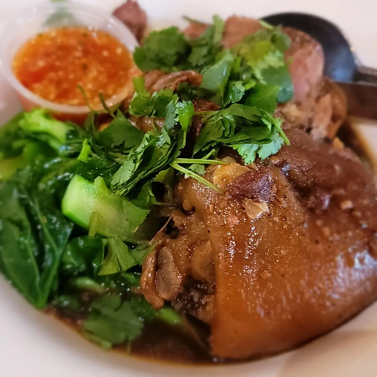 Stewed Pork Leg