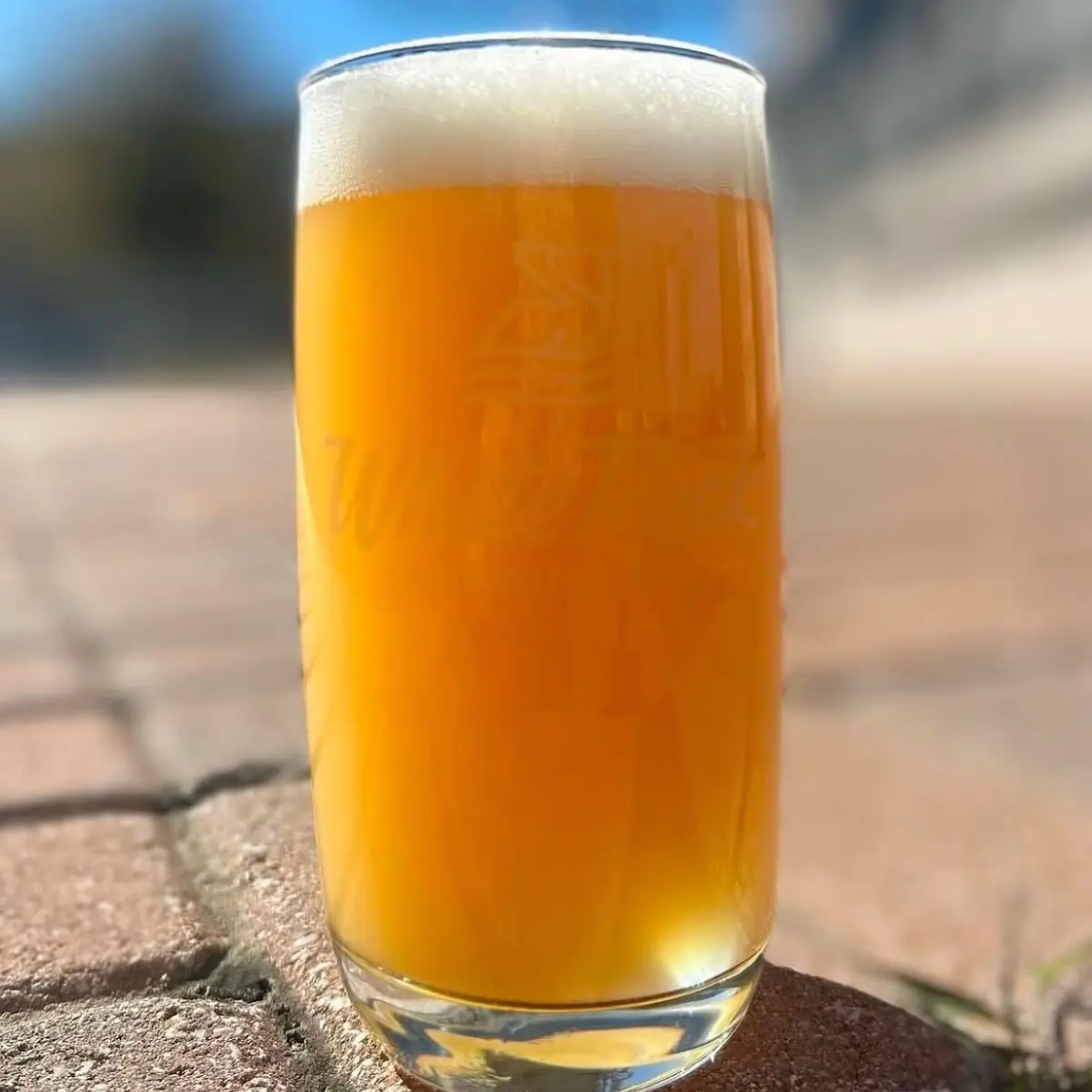 Hazy Pale Ale