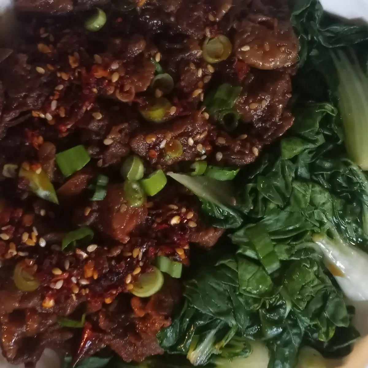 Stewed Beef