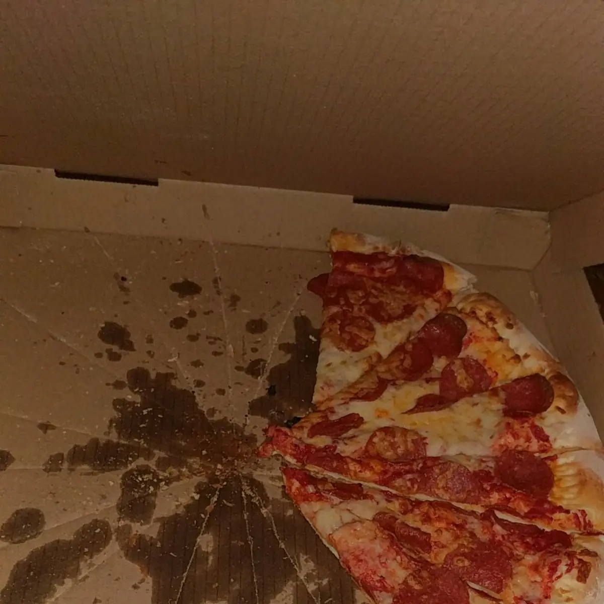 lg Double Pepperoni Pizza