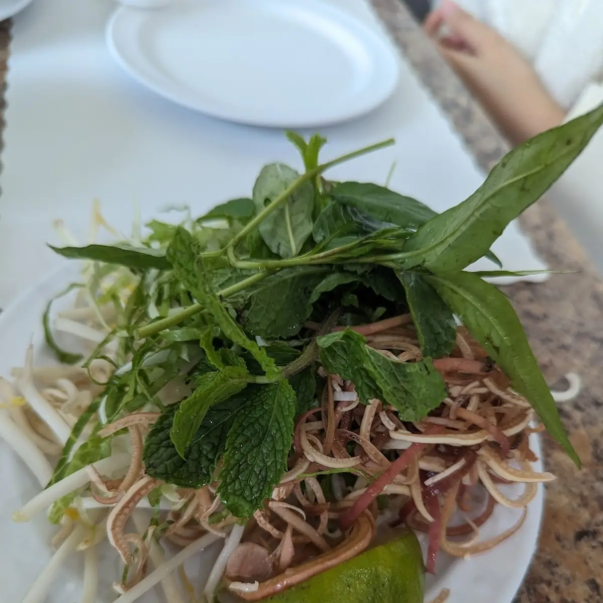 Fresh Herbs and Bean Sprouts
