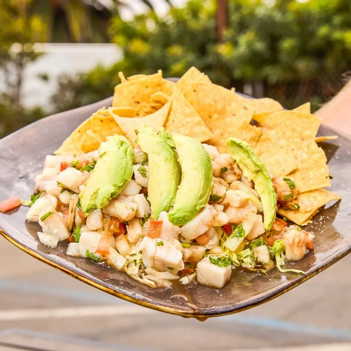 Fresh Ceviche