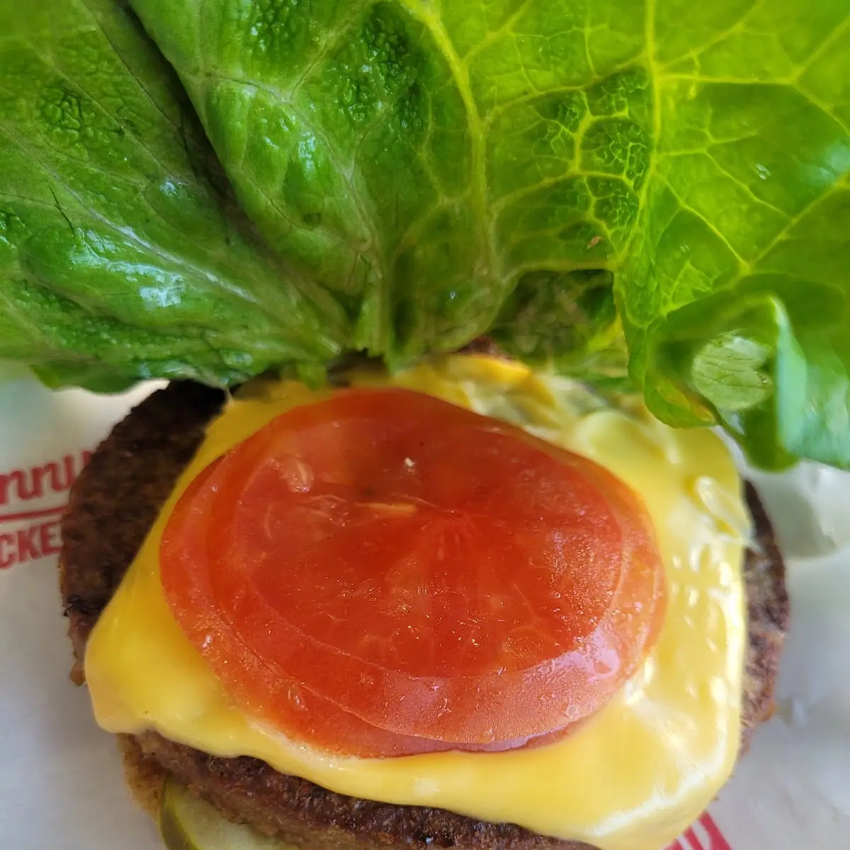 Boca Burger