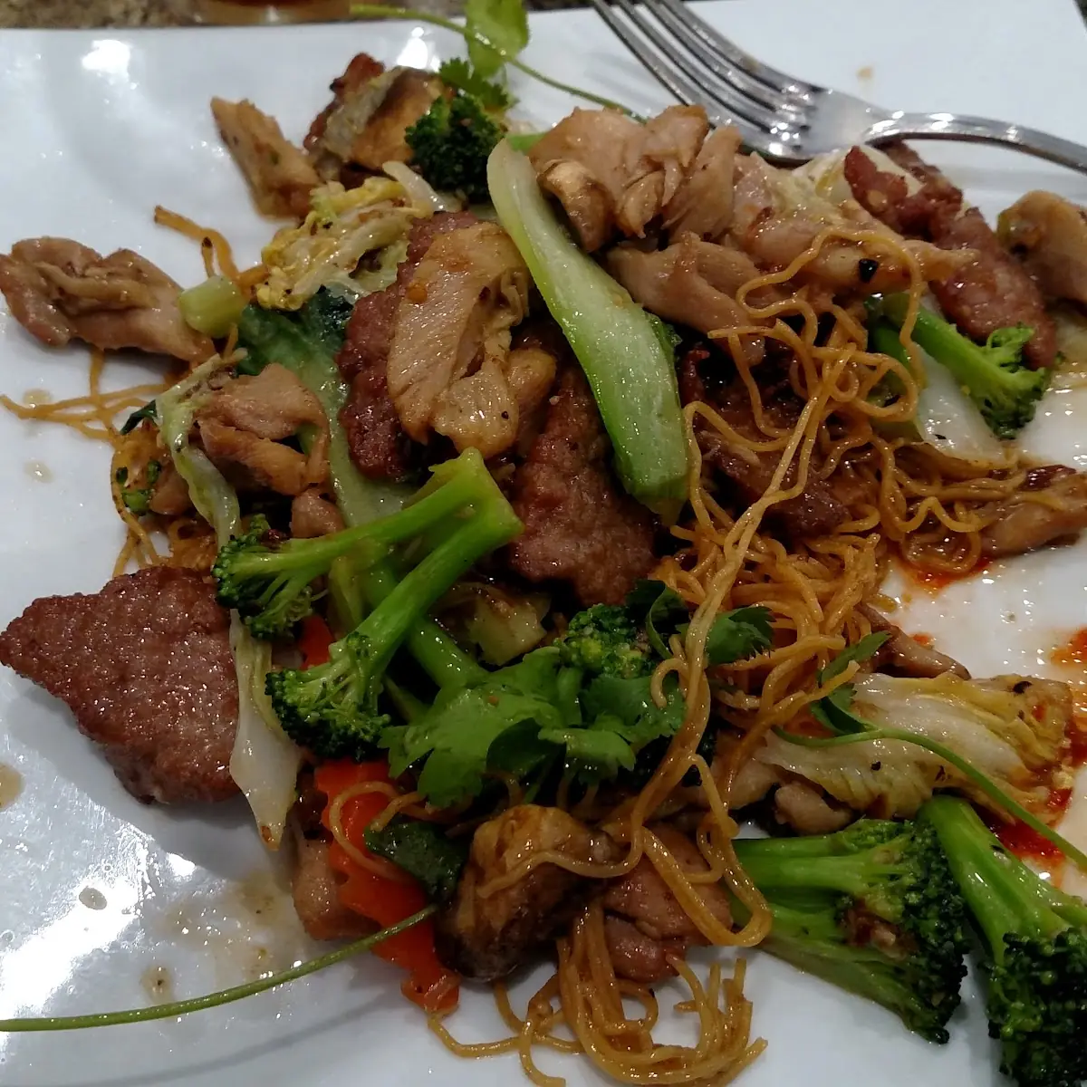Beef and Chicken Chow Mein