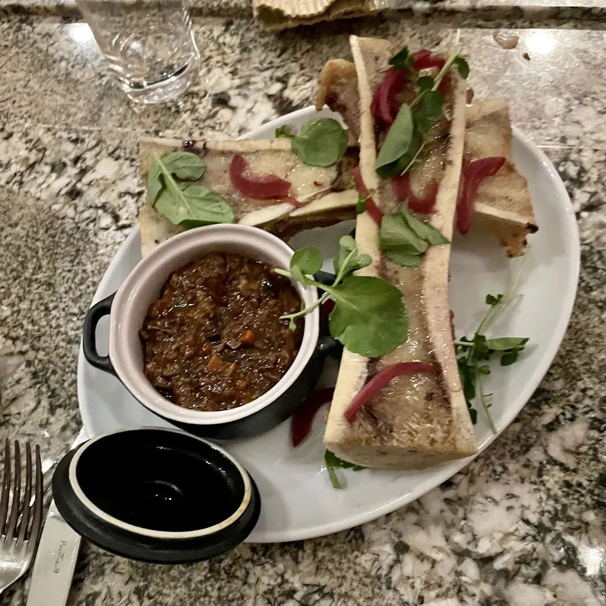 Bone Marrow