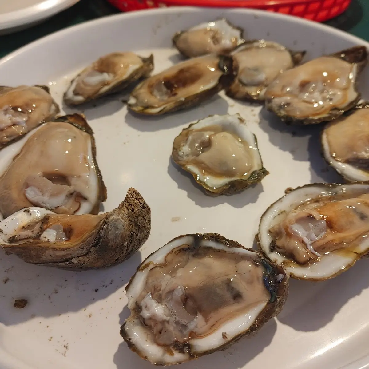 1 2 Dozen Oysters on the Half Shell